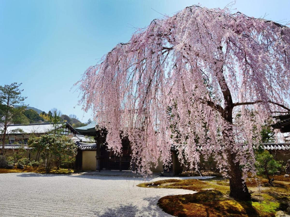 The Pocket Hotel Kyoto Karasuma Gojo Dış mekan fotoğraf